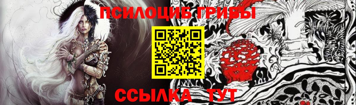 Галлюциногенные грибы прущие грибы  Псилоцибиновые грибы мицелий  Ачинск  Вход с VPN 